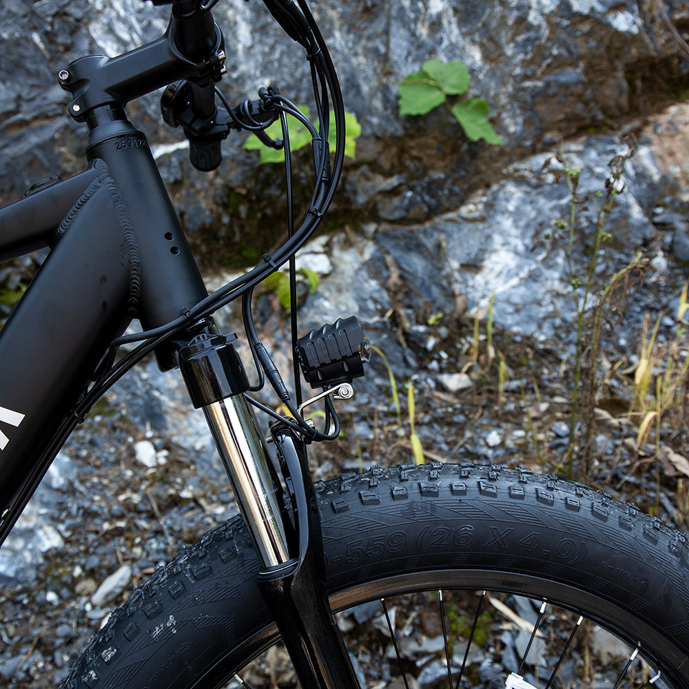 Elektrische Mountainbike 1000W