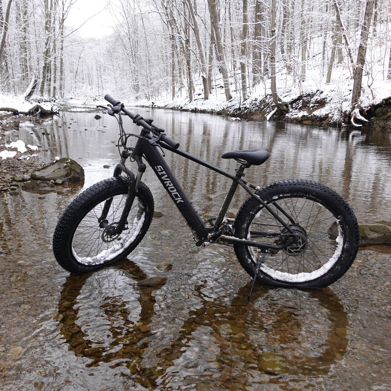 Elektrische Mountainbike 1000W
