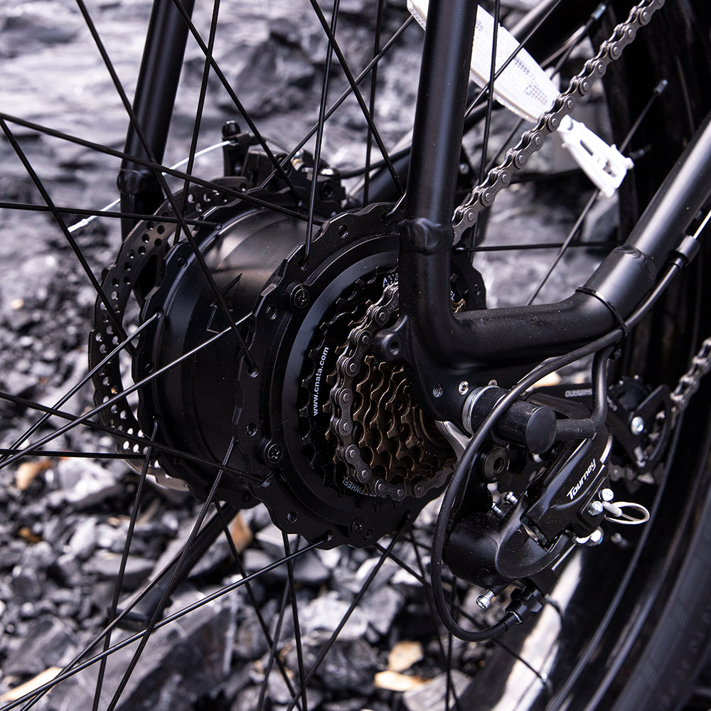 Elektrische Mountainbike 1000W