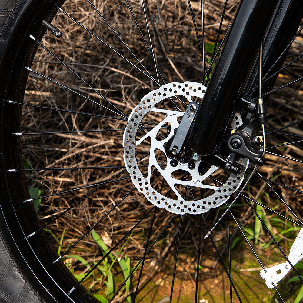 Elektrische Mountainbike 1000W