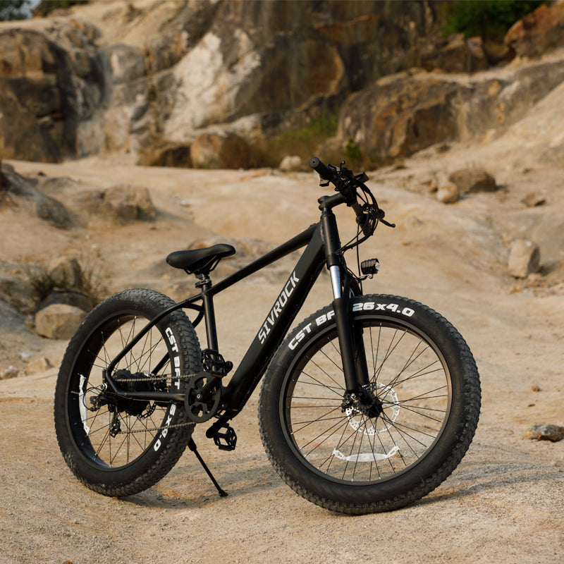 Elektrische Mountainbike 1000W