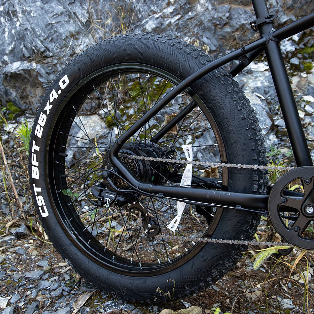 Elektrische Mountainbike 1000W
